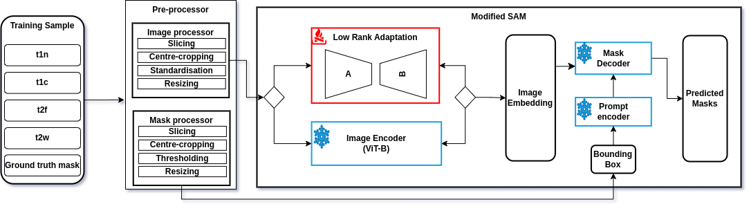 Modified SAM Architecture with LoRA