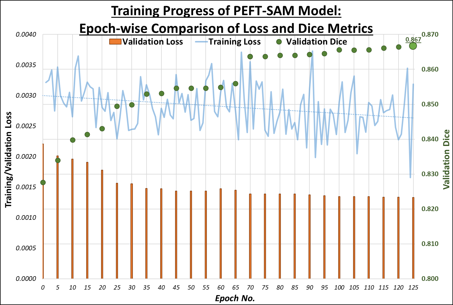 PEFT-SAM Training Progress