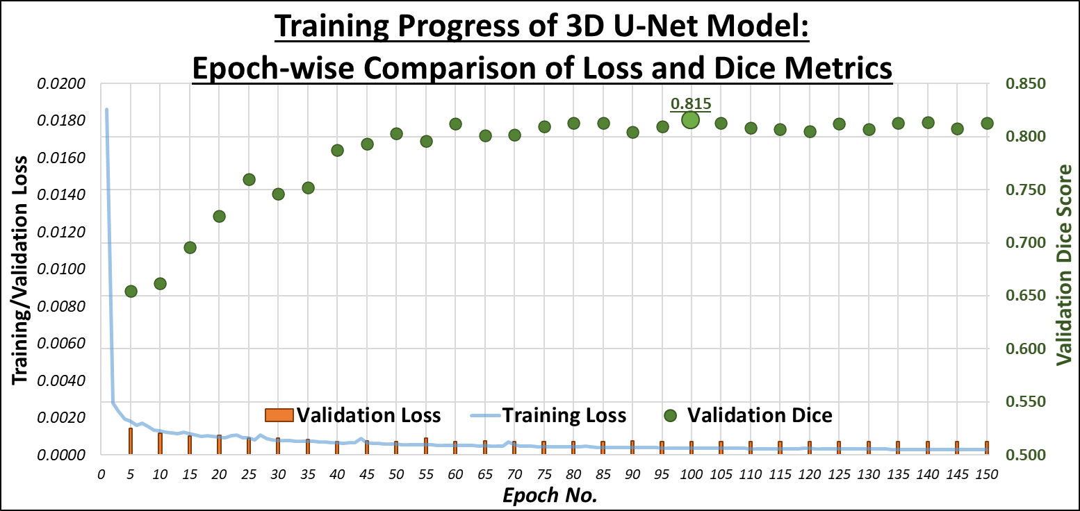 U-Net Training Progress