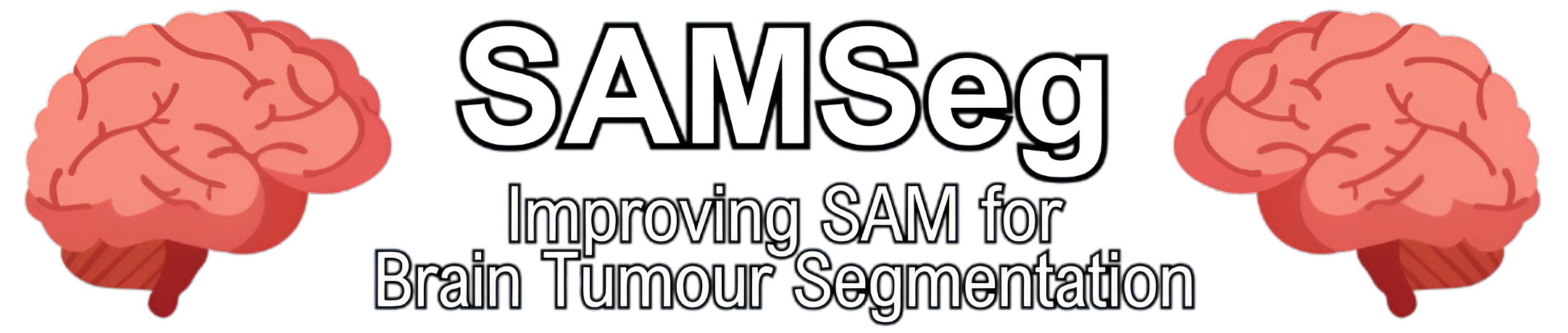 SAMSeg Title