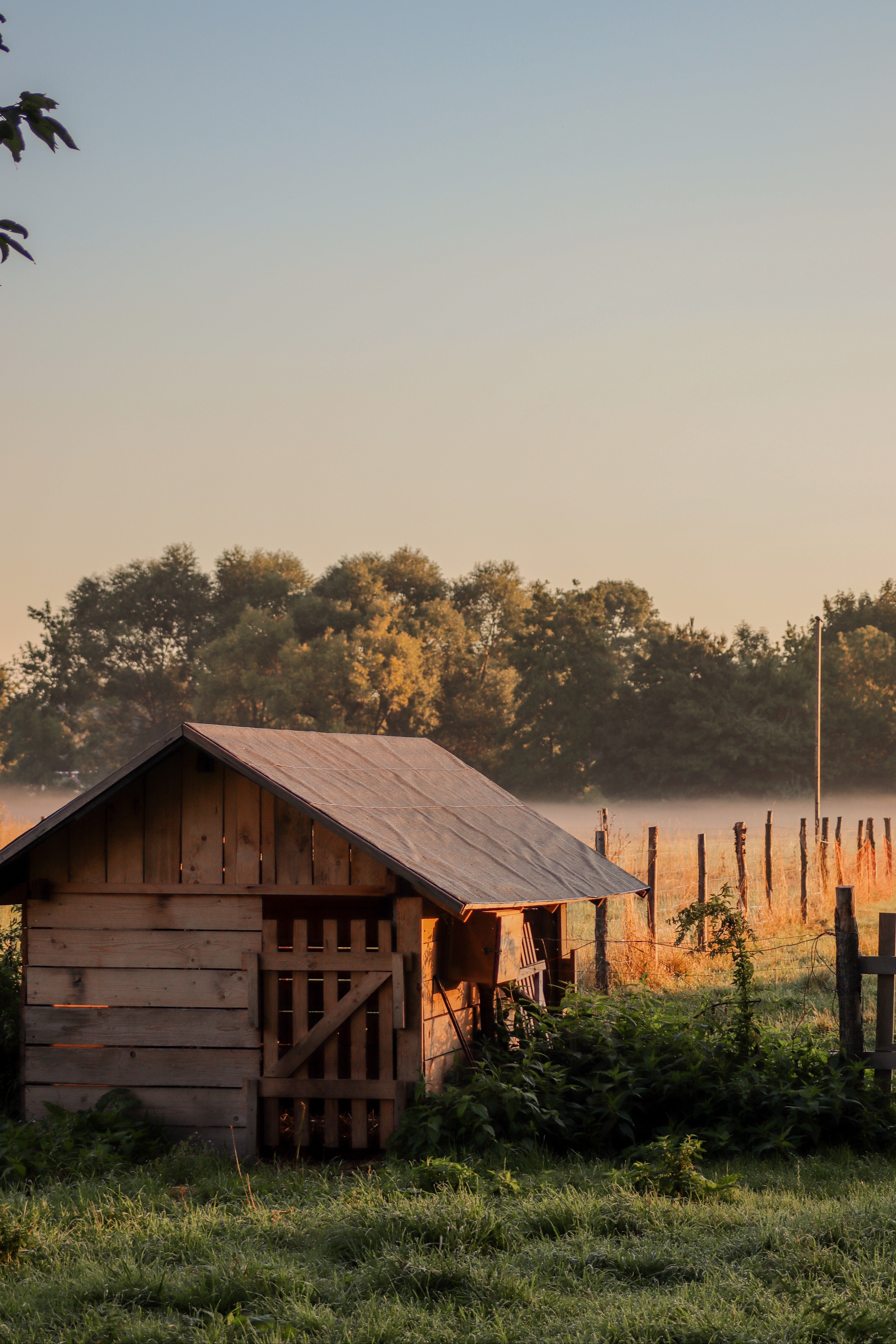 farm sunset